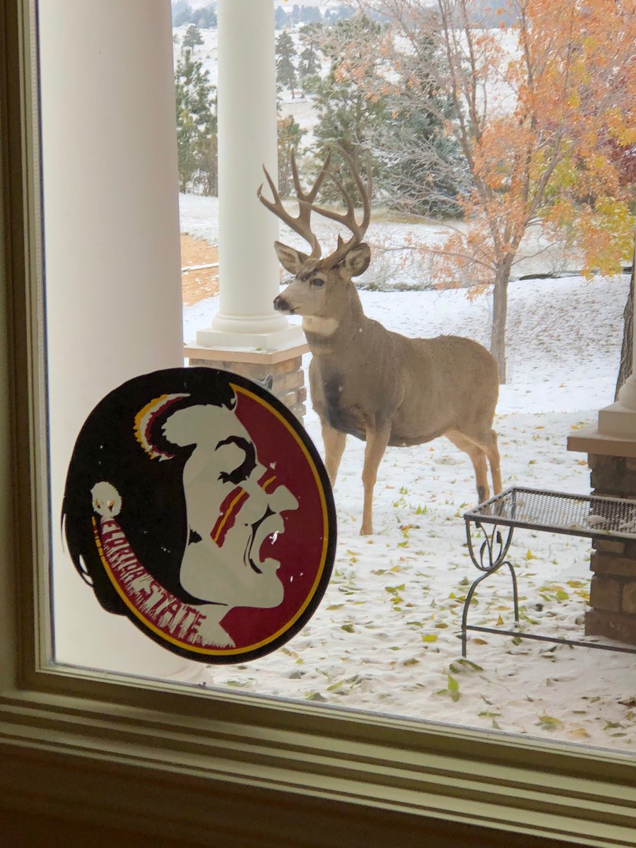 MJayCoates's tweet photo. Seminole Club of the Rockies!!! https://t.co/u2Y45kH71K