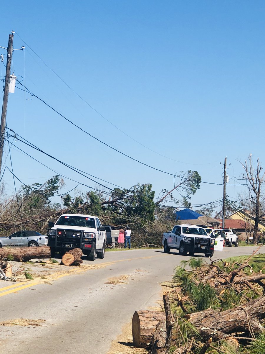 Florida Forest Service Chainsaw Strike Team removing trees and debris from roadway to provide access for residents returning to their homes in Lynn Haven.