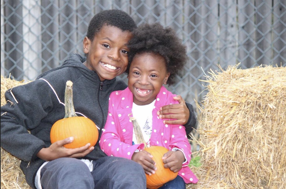 ps203pta tweet media