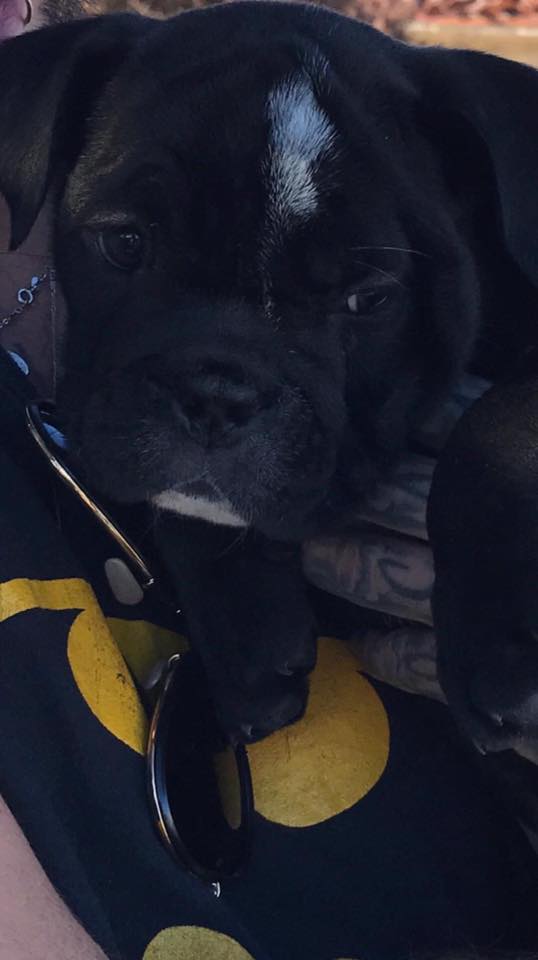 KaulitzStitch's tweet photo. ❤️🧡💚❤️🧡💛💙💚💛💚💜💙💚💛💛💚💙💜💜💙💚💛🧡❤️🧡💛💙💜💚💛🧡❤️🧡💛💙💜💙💚💛🧡❤️💛💜💚💛🧡❤️
Stitch Kaulitz baby loving my daddy n honoring the memory of my ancestor older brother Pumbi kaulitz @pumbakaulitzfan brother ,son, future artist member of @pumbaismymaster cuddle me ! https://t.co/fwAcdbwdkc