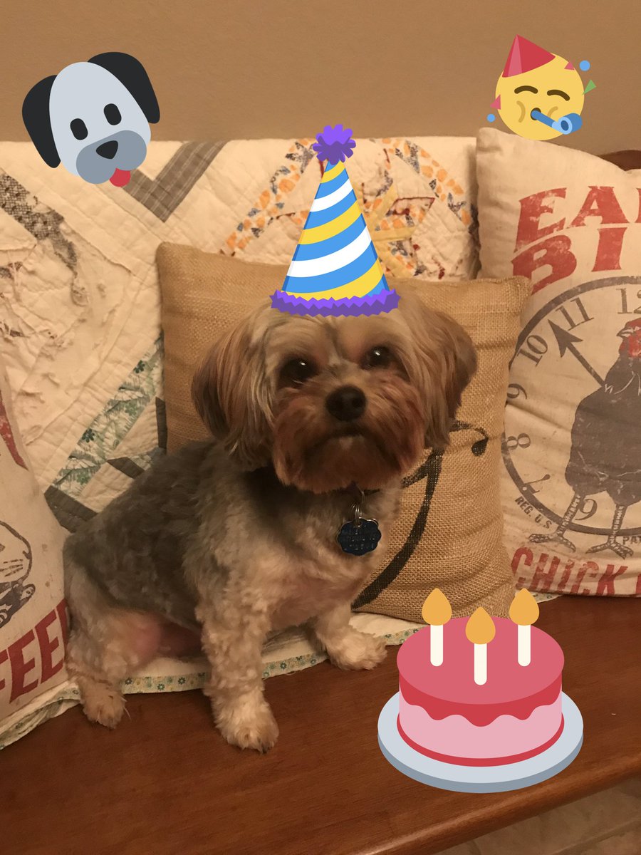 aganninger's tweet photo. Look who’s 5 today!! Happy Birthday Duke!!! https://t.co/5rQGzb4aGU