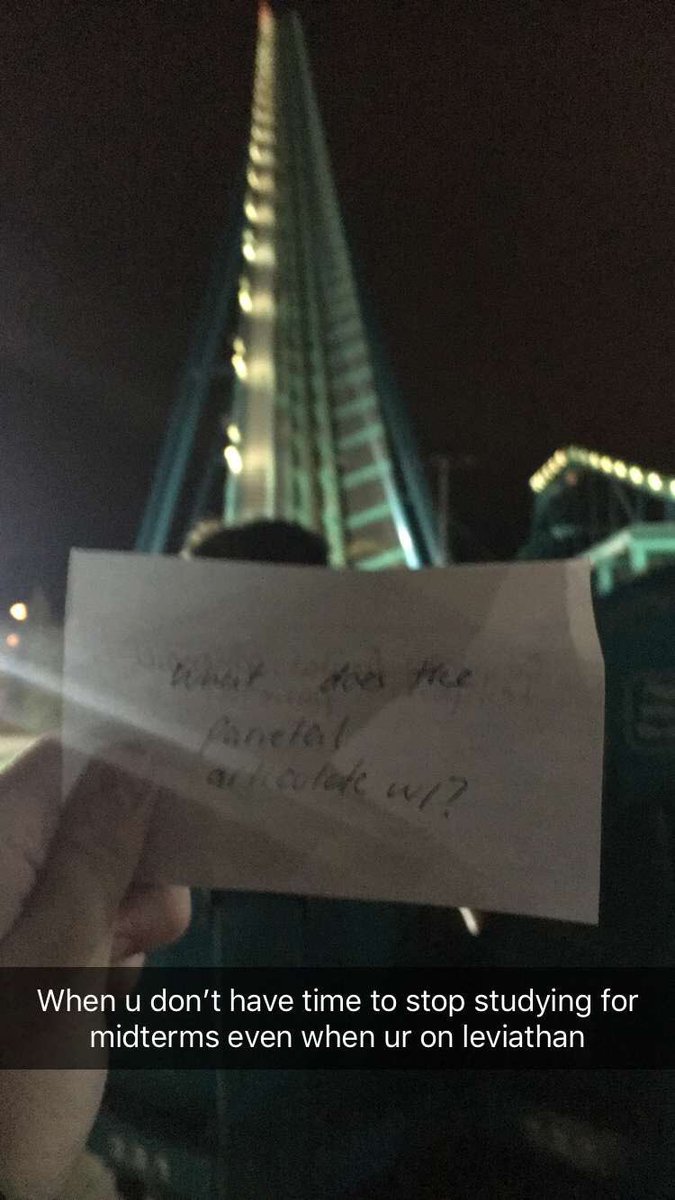 shaemort's tweet image. What’s scarier, midterms or the drop? @WonderlandNews