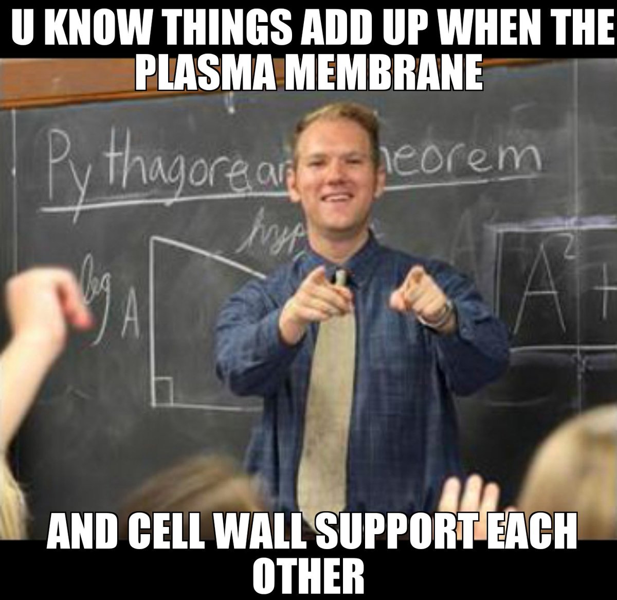 CellWal37232710's tweet photo. @APBioBoss #LPHSorganelleelection2018 https://t.co/b1JWlaXCLf