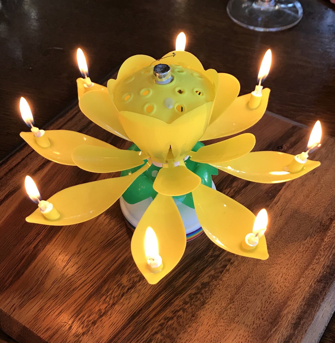 WicksteadsUK's tweet photo. Aww cute! A little lit Lotus flower. Happy Birthday! #happybirthday #wickstead #lotus https://t.co/aIysycsbSp