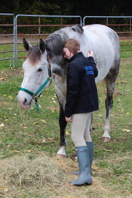 TeamNeala's tweet photo. 🎉 On this date...3 Years ago, Neala arrived in Maine. ☘️💚Kiera knew immediately she had her horse of a lifetime and #TeamNeala was born. https://t.co/j1bNV6yxB3