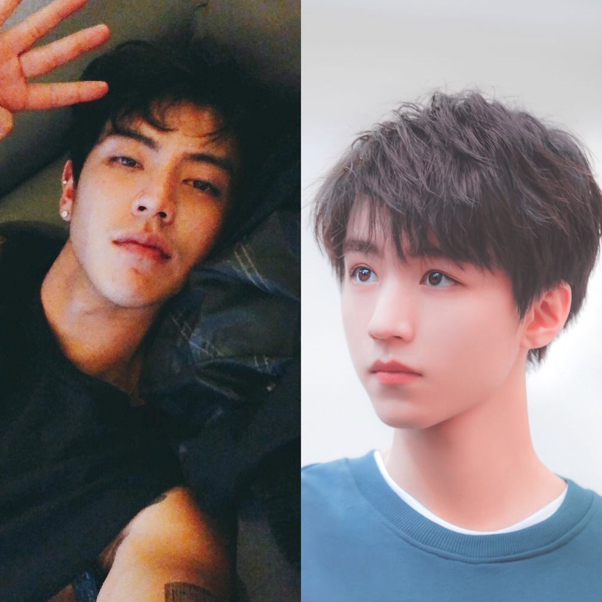 낙엽송 (Larch) 🐱 tweet media