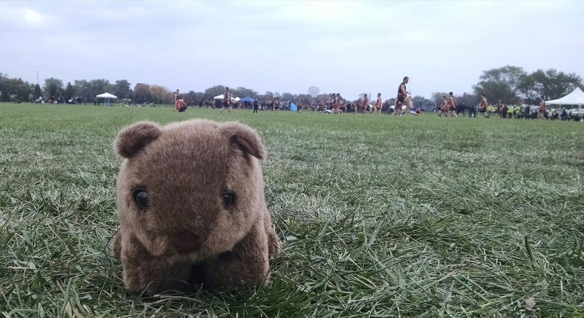 Wally the Wombat! Thanks to the Australian embassy!