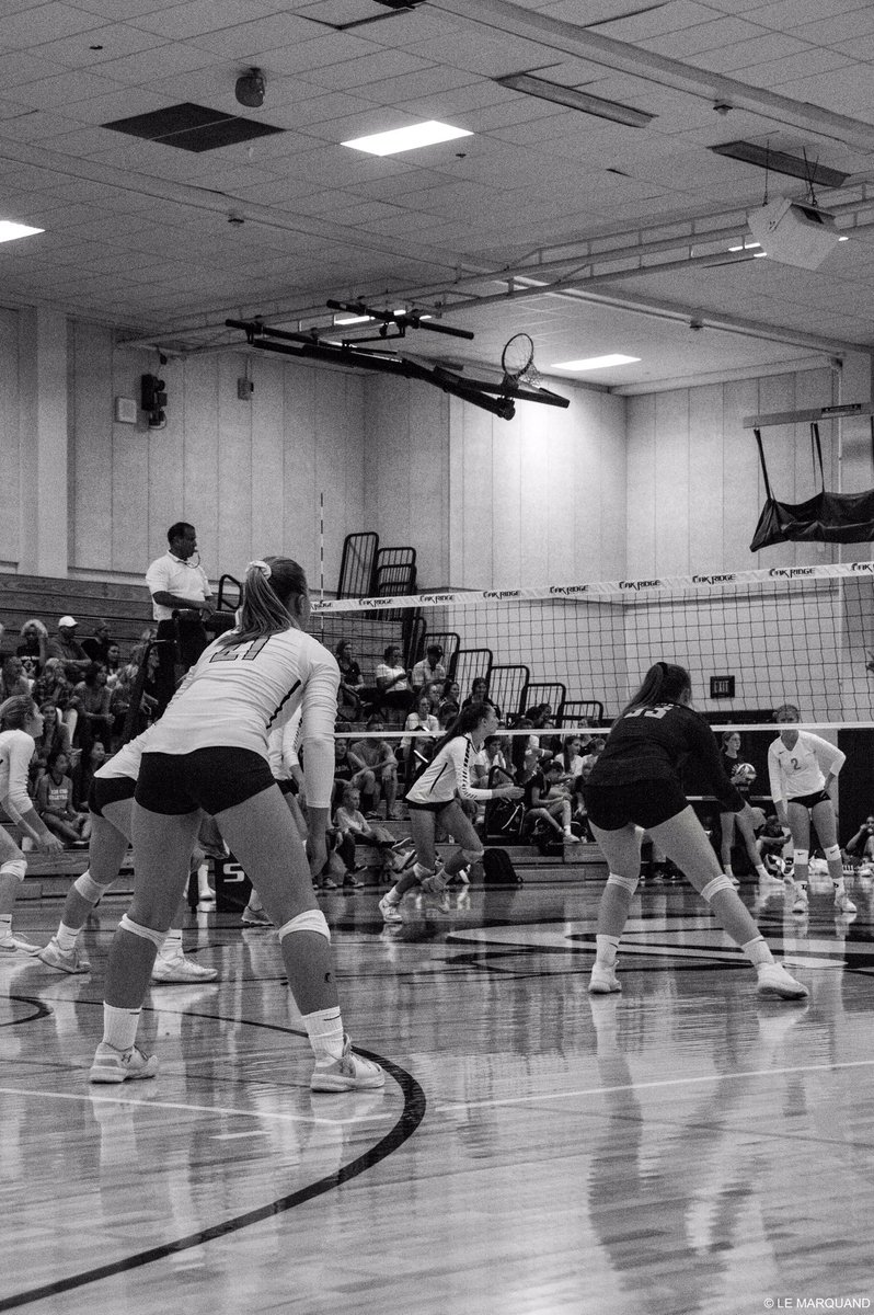 sidelinebyshelby tweet media