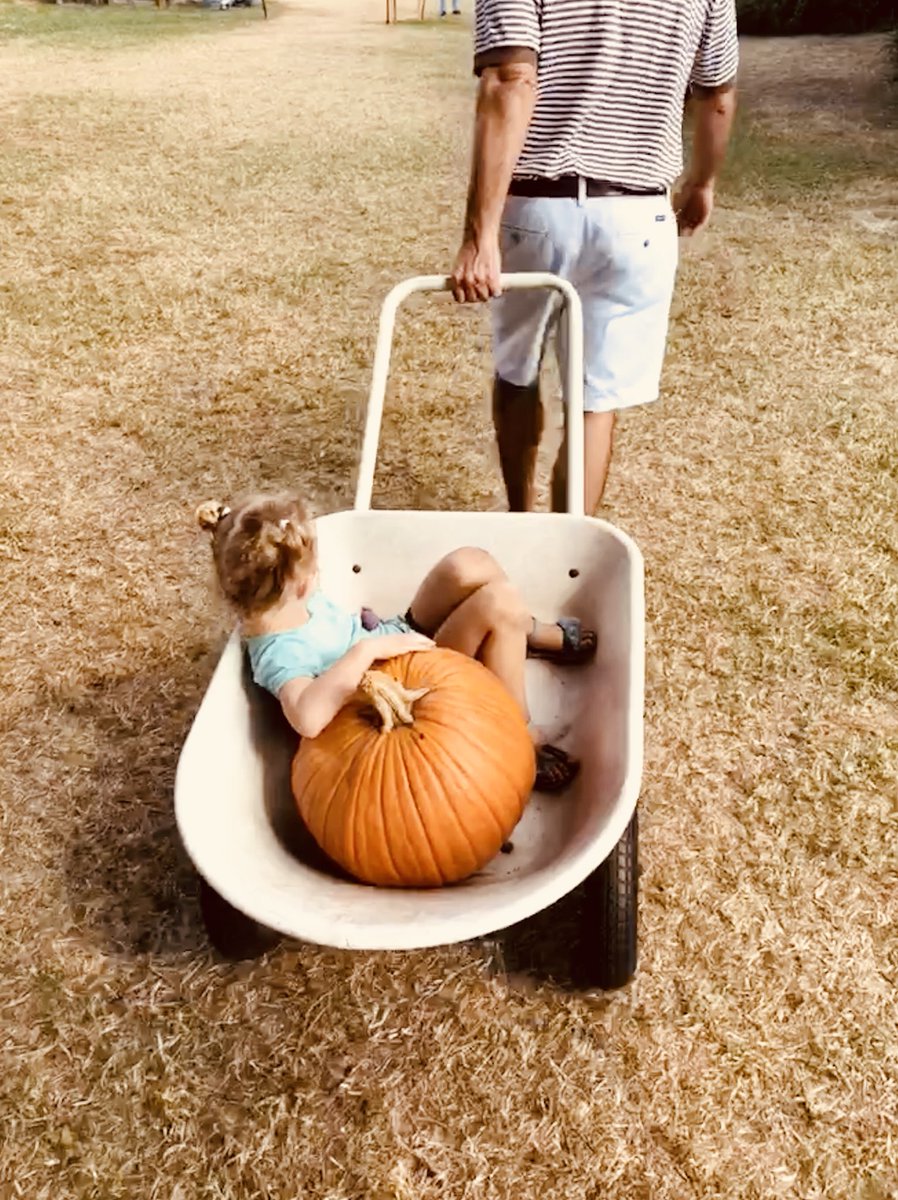 kevin_scott16's tweet photo. Harvest Season ππ»ππ»π½ #Harvest #Fall #LoveFL #SweetFieldsFarm #PumpkinCarving https://t.co/Xq9uxTv4D3