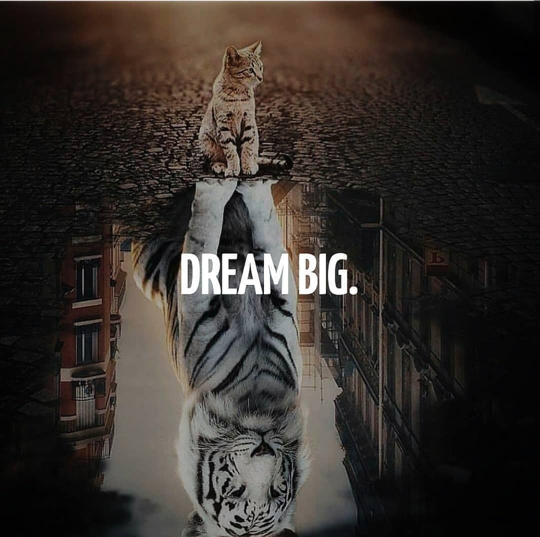 GWEKenya's tweet photo. #MONDAYMOTIVATION
All our dreams can come true, if we have the courage to pursue them. You can have anything in life if you will sacrifice everything else for it. A dream doesn't become reality through magic; it takes sweat, determination and hard work.
#dreambig #GWEKenya https://t.co/FXQGKqM7Cp