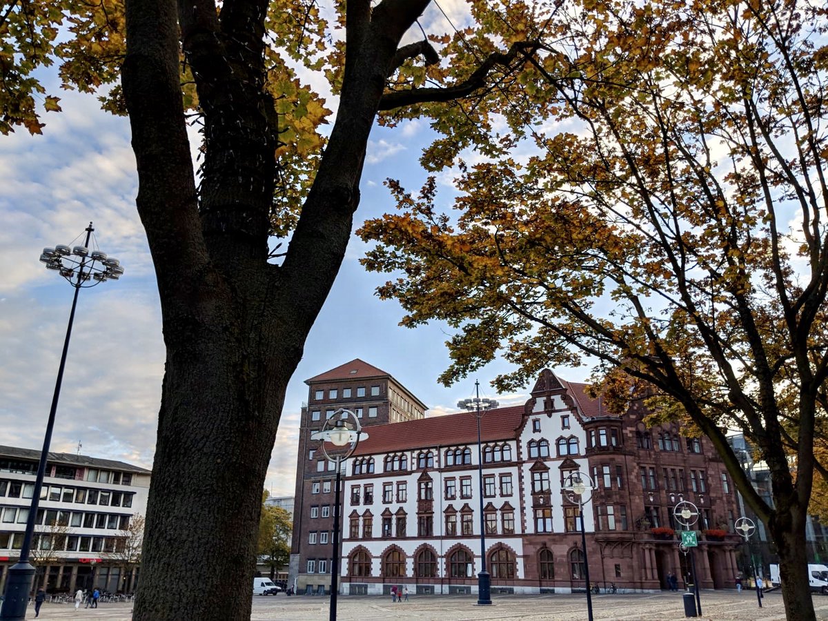 Guten Morgen, #Dortmund! 🍁 https://t.co/blADmbiEHx