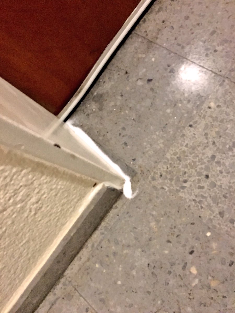 DiscerningMole's tweet photo. My Neighbour is expecting a coke fan Mouse or Maradona #photography #corridor #whileyousleep #cocaine #trap https://t.co/o1UeHtqJdz
