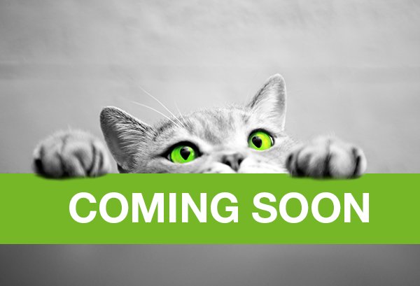 Across_Systems's tweet image. Im Januar erscheint der #AcrossLanguageServer v7! Sehen Sie unsere neuen Top-Features in der Sneak Preview am 11.12.: across.net/events/2018/sn… #techcomm #tekom18