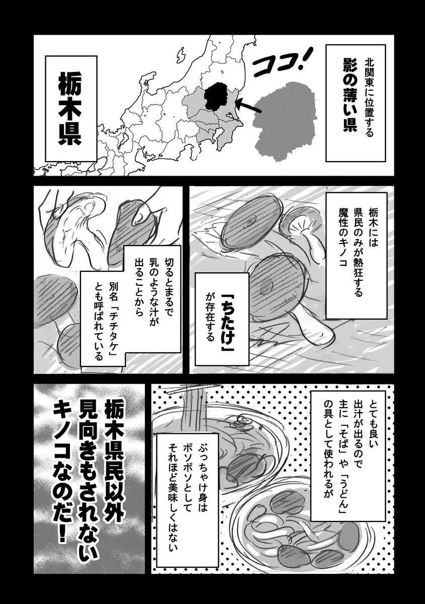 今日はきのこの日らしいので。栃木県民が愛する「ちたけ」を推さずにはいられまい…！#きのこの日 