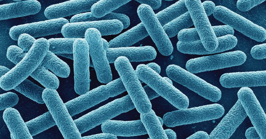 WebMD's tweet photo. Blowing out birthday candles can ramp up the bacteria count on a cake by 1,400%, according to one study. 😯 https://t.co/ox0PfrtlMH https://t.co/7qAl7OXCy7