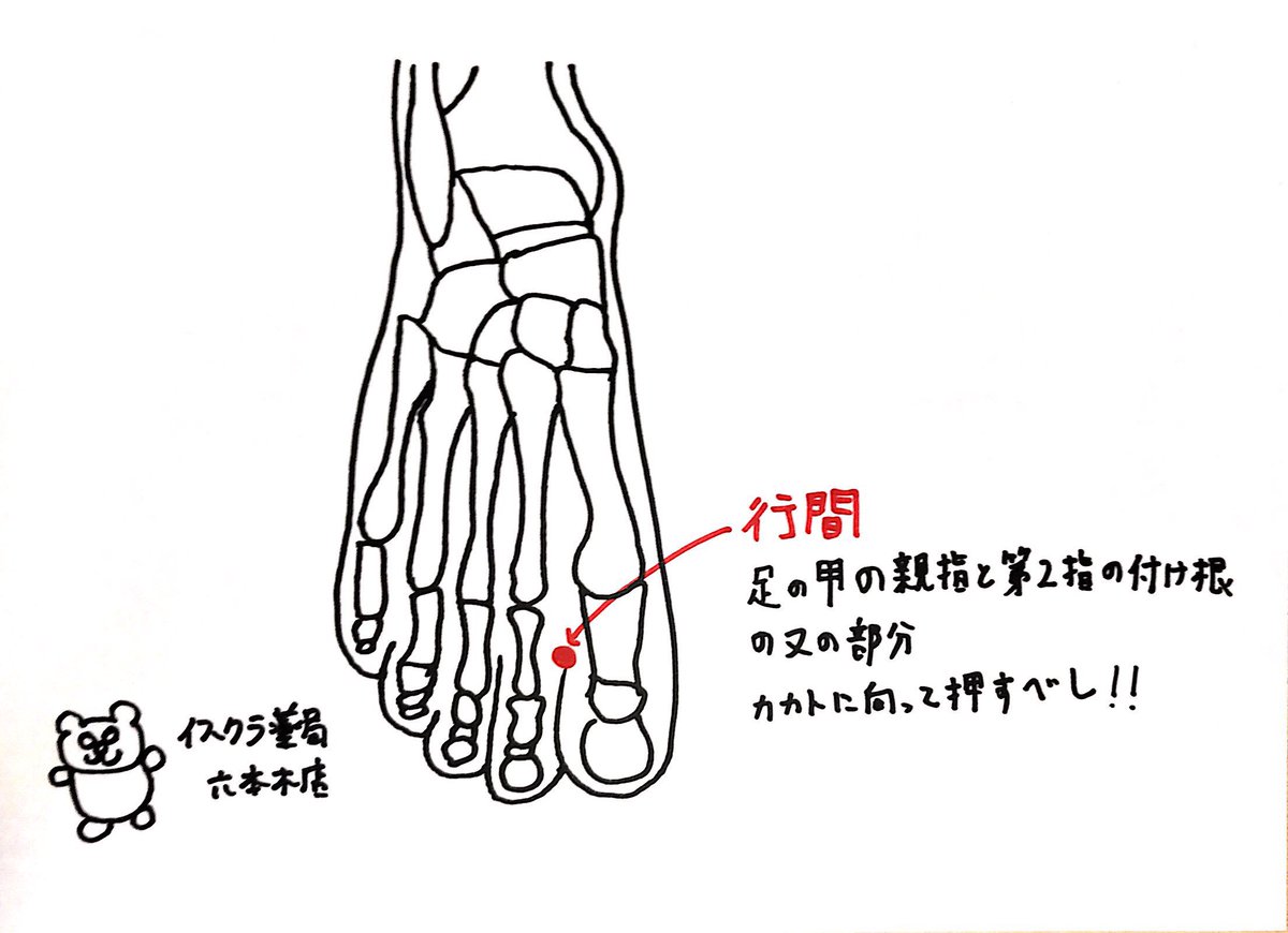 HD限定 Pms ツボ