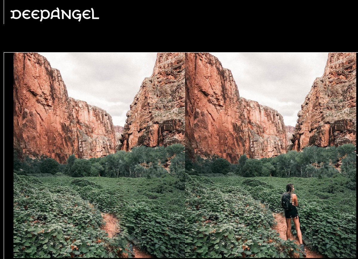 GantLaborde's tweet photo. You can Thanos anyone with @deepangelAI 

Definitely adding this to my fun-#MachineLearning repo list.

special thanks to @cindythuyvan for having epic photos in nature that are perfect! https://t.co/lbd2OdueU3
