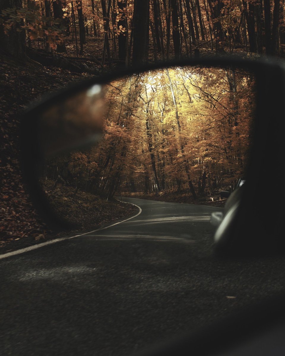 Lincoln_Danny's tweet image. Tunnel of Trees #puremichigan #tunneloftrees