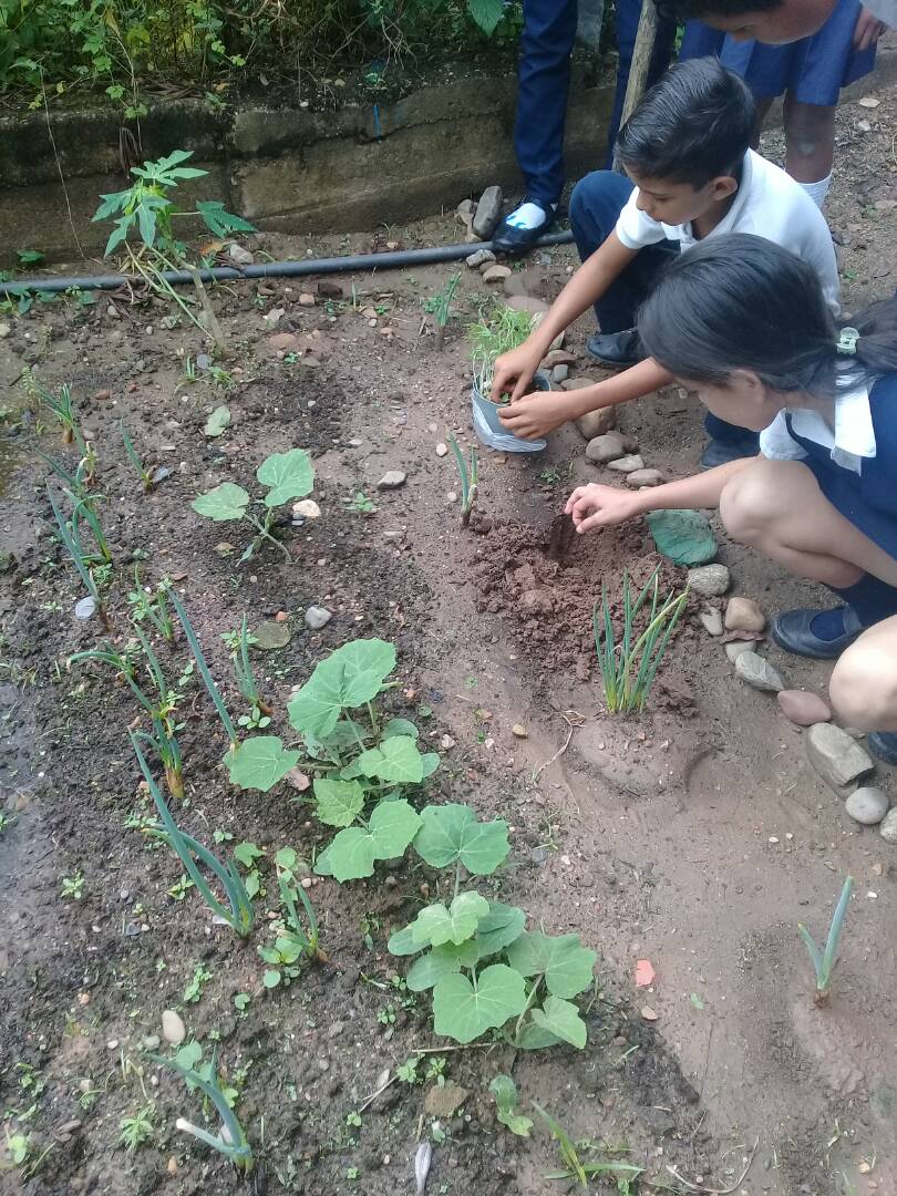 ebkm_96's tweet photo. Mantenimiento del Conuco Escolar https://t.co/cuW7Y9v27R