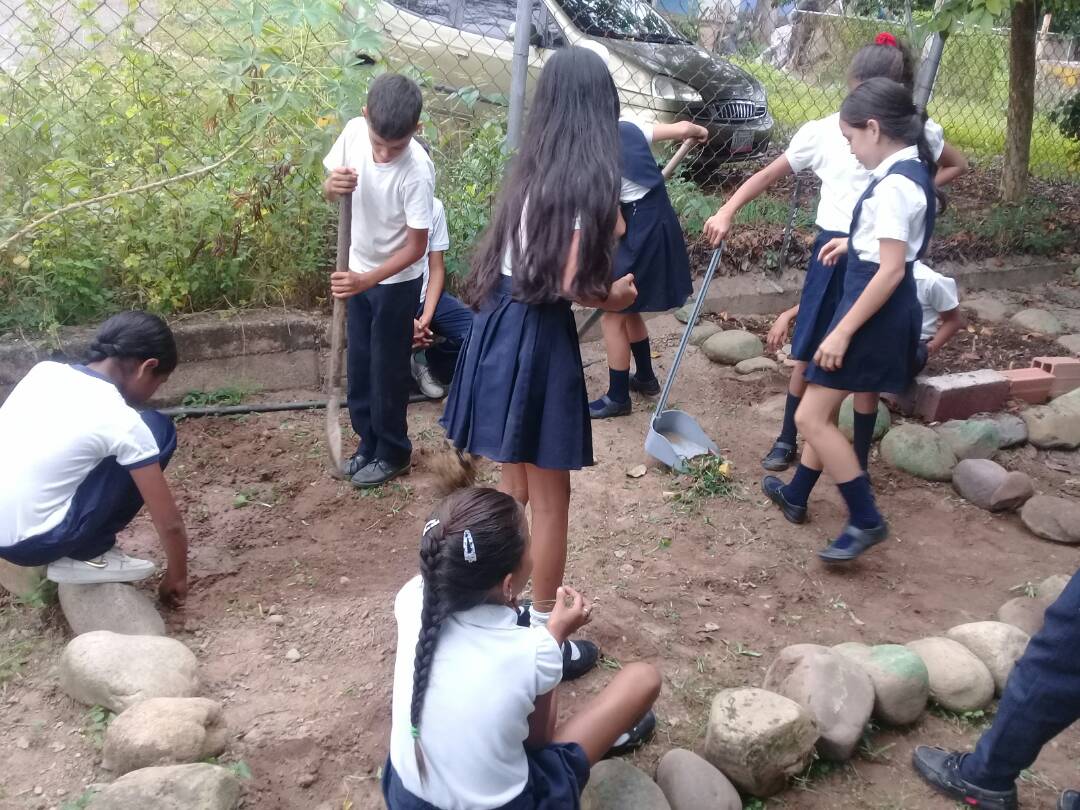 ebkm_96's tweet photo. Mantenimiento del Conuco Escolar https://t.co/cuW7Y9v27R
