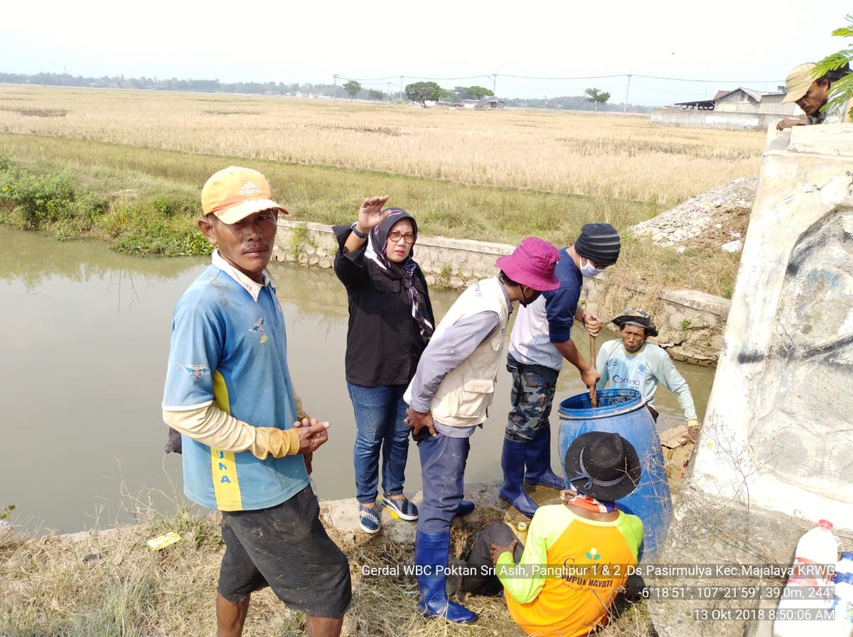 distanhortijbr's tweet photo. Laporan Gerakan Pengendalian OPT Tanaman Padi
Kabupaten : Karawang
Kecamatan : Majalaya
Desa : Lemahmulya
Kelota : Sri Asih, Panglipur I & II
Varietas : Inpari 33, Inpari , 32, CH dll
Kesimpulan : Waspada Populasi WBC lanjutan *POPT : Sri Idah Fariyana, SP*
#bptph
#jabarjuara https://t.co/qSG12fdS4z