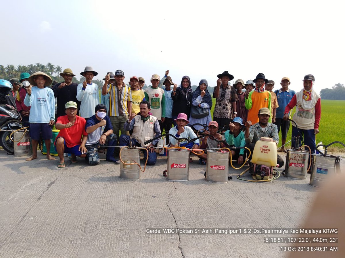 distanhortijbr's tweet photo. Laporan Gerakan Pengendalian OPT Tanaman Padi
Kabupaten : Karawang
Kecamatan : Majalaya
Desa : Lemahmulya
Kelota : Sri Asih, Panglipur I & II
Varietas : Inpari 33, Inpari , 32, CH dll
Kesimpulan : Waspada Populasi WBC lanjutan *POPT : Sri Idah Fariyana, SP*
#bptph
#jabarjuara https://t.co/qSG12fdS4z
