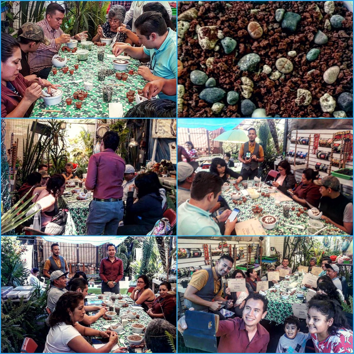 imffss_oficial's tweet photo. ¡Gracias por tu participación!
Taller "Lithops" ¡JARDÍN DE PIEDRAS VIVIENTES! 

“Instituto Mexicano De Fauna, Flora y Sustentabilidad Social A.C.”
▫️▫️▫️▫️
#CDMX #Plantas #Lithops #Terrarios #Piedras #Vivientes #Taller #Flora #Rocas https://t.co/rUqTrblCFm
