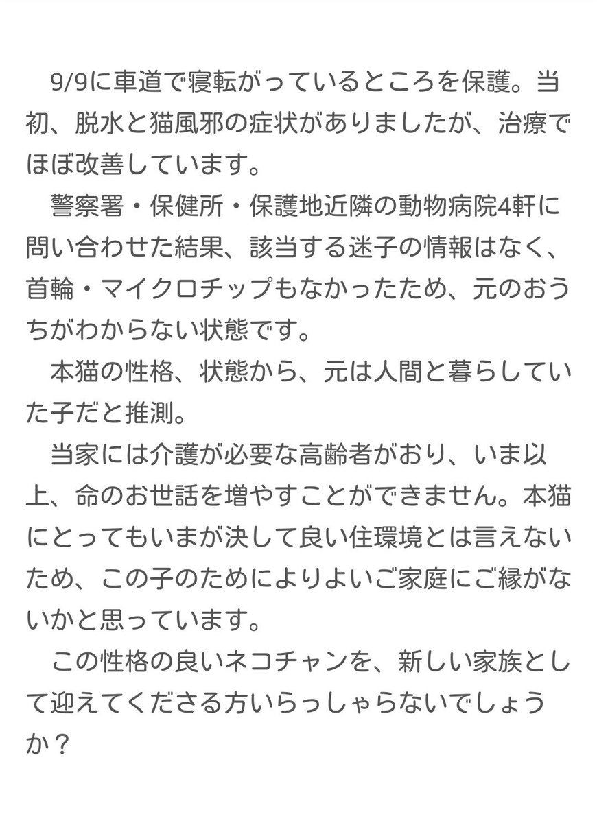 ゆすら tweet media