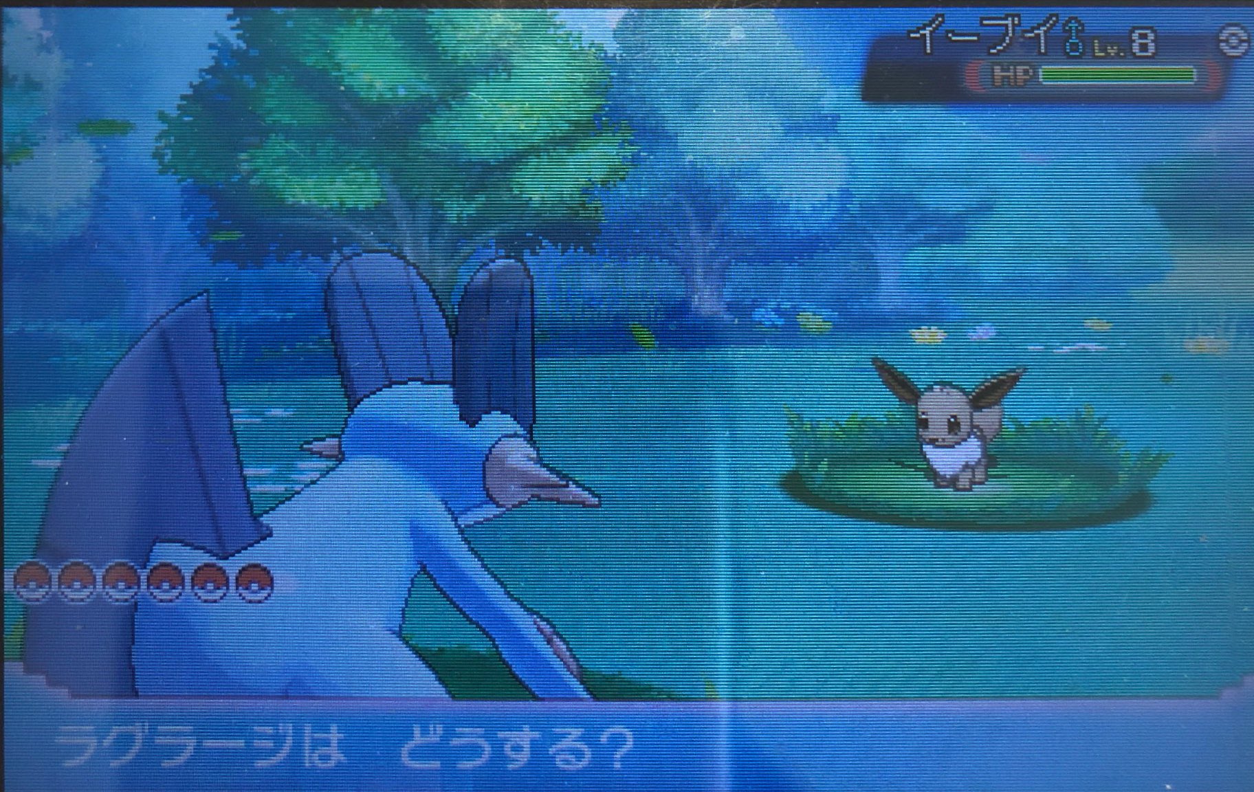 スラヨシ アンテ ポケダン空ネタバレしないでね 図鑑ナビありがとう 116番道路でイーブイ スラヨシ アンテ ポケダン空ネタバレしないでね 図鑑ナビありがとう 116番道路でイーブイ