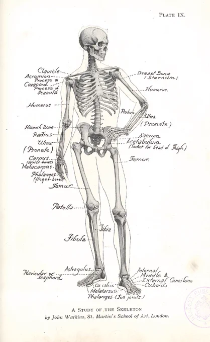 1917年ごろの学生作品。みなさん、なかなか達者。Ellwood and Yerbury "Studies of human figure"(1918)。 