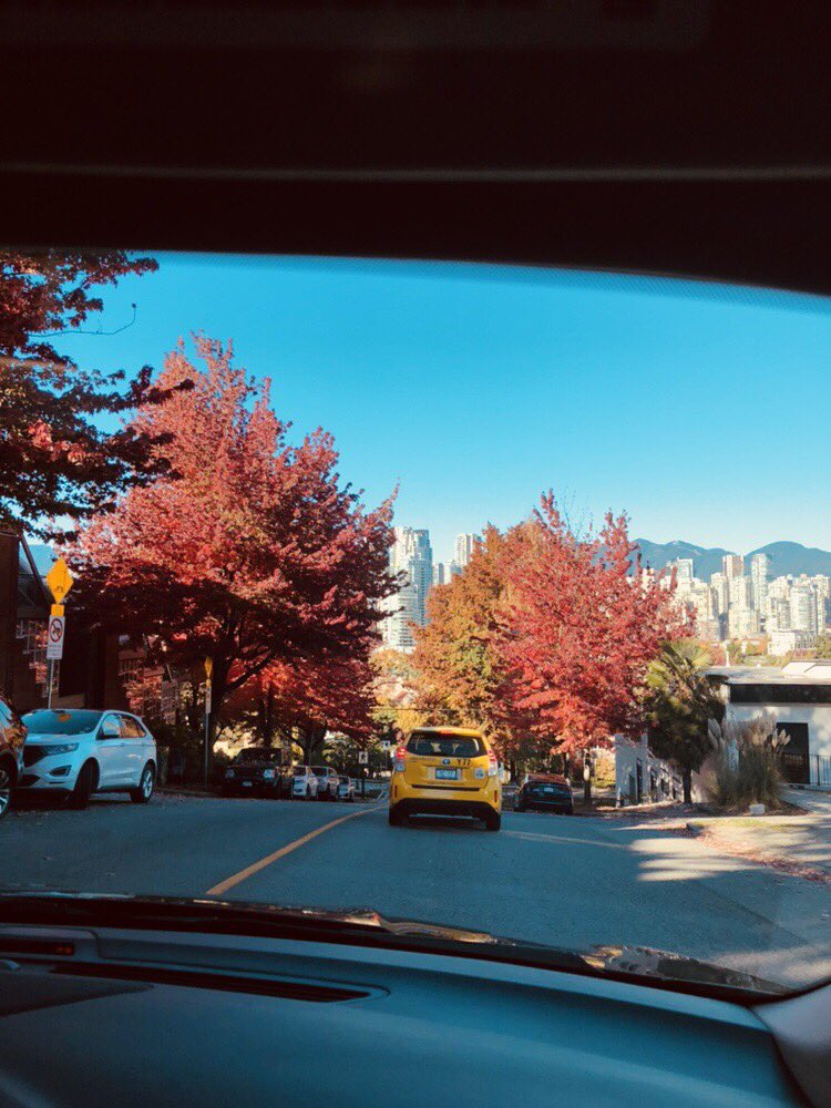 SonikaArora604's tweet photo. Such a beautiful day today! Loving this weather & all the fall coloursโค๏ธ๐ #iPhoneSometimes #Vancouver #beautifulBC #exploreCanada #Fall #FallInVancouver https://t.co/pfQU0mD9nF
