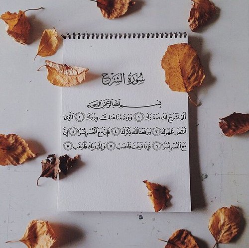 عزيزه البدوي🍁 (@azizahbadwi) on Twitter photo 