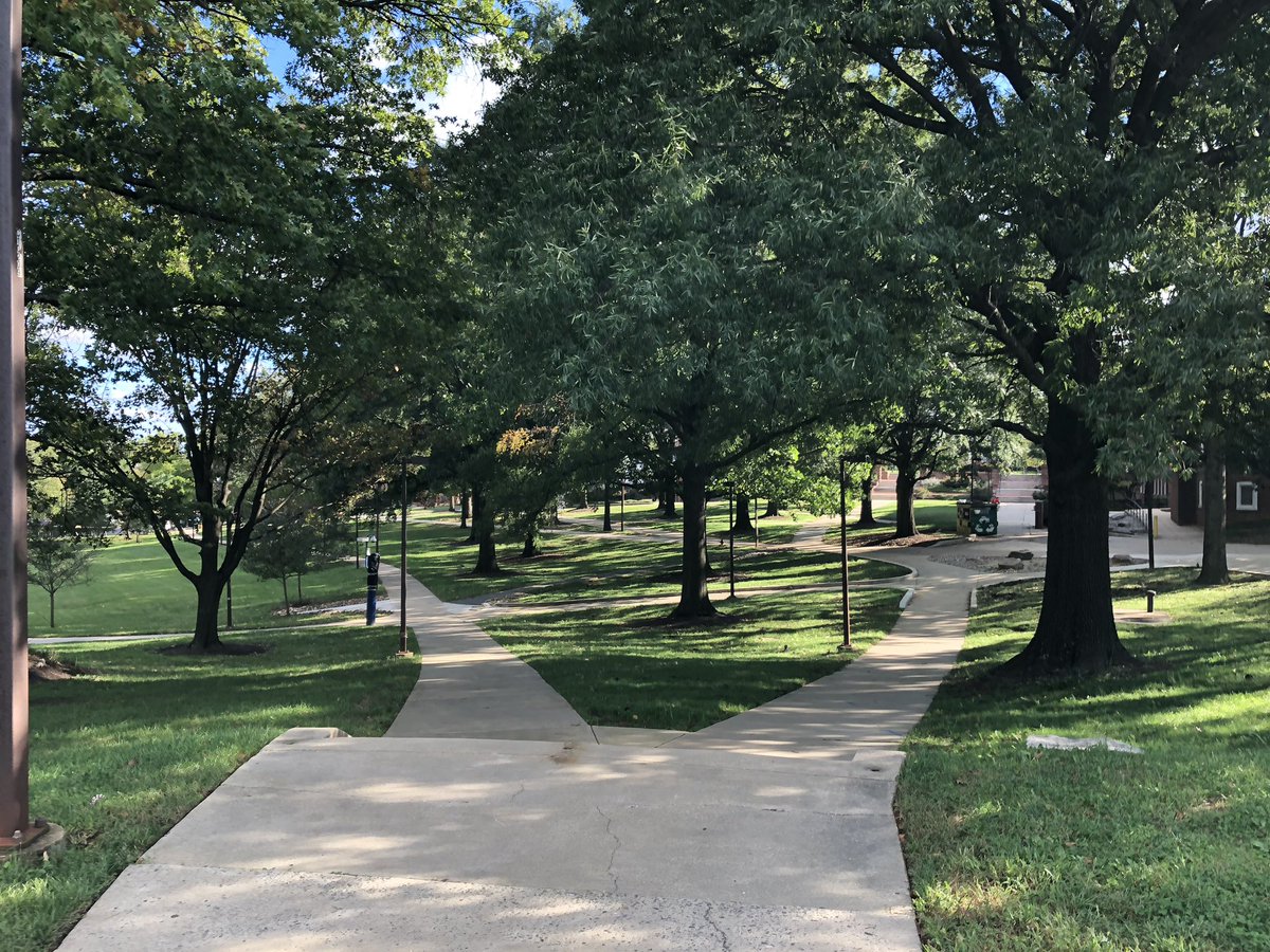 ahyattdev's tweet image. 🌳