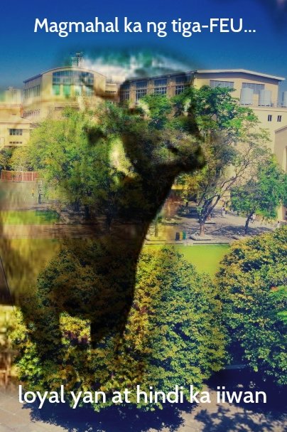 LSalucon's tweet photo. Did you know that...
Tamaraws are intelligent, independent and aggressive. They're also protective to their partner and territory. #Tweetams #HatawTamaraw2018 https://t.co/ukXB07nXKo