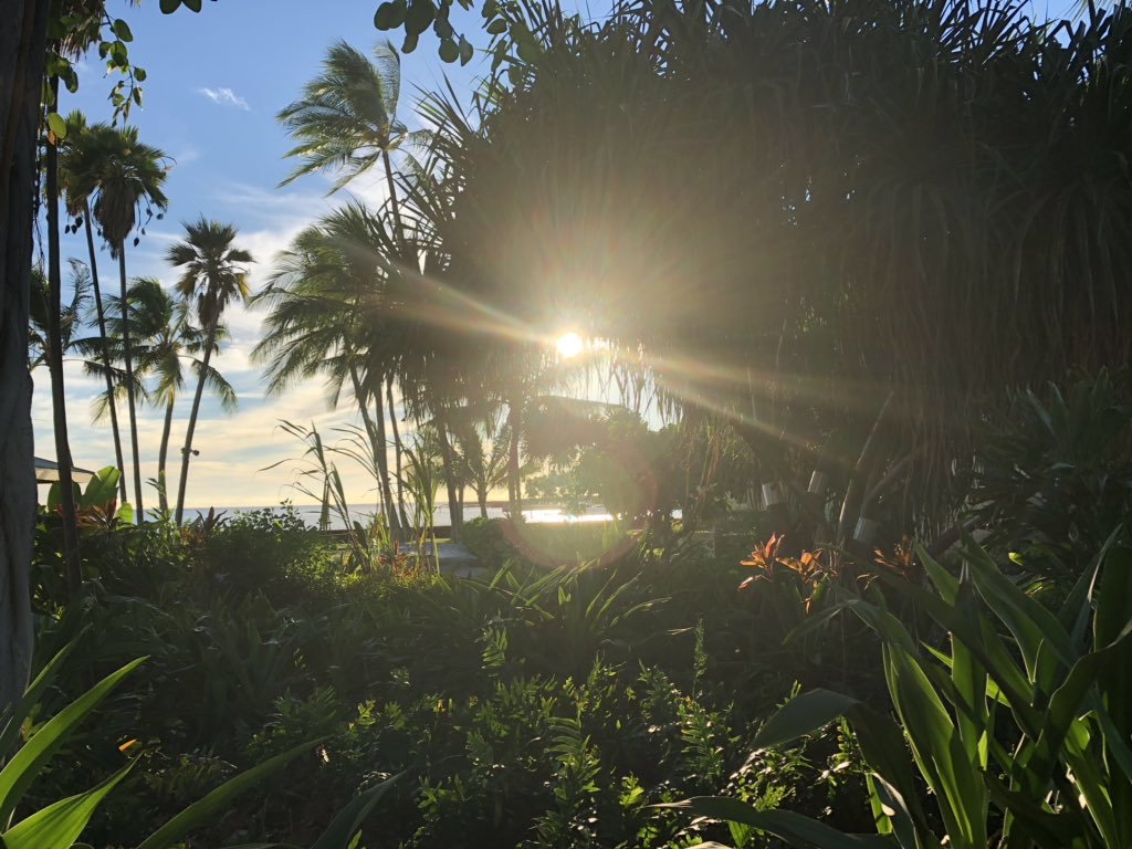 IMTrinews's tweet photo. #BanquetofChampions 🌺  Ironman World Champions Kona Hawaii 2018 
.
.
🎥📸  #ironmannews #kona #hawi #Bigisland #imkona #imwc #imwc40 #konapier #digmebeach #palaniroad #aliidrive #teamnl https://t.co/nkT4JYTeKx