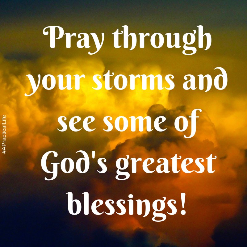 APracticalLife1's tweet image. 