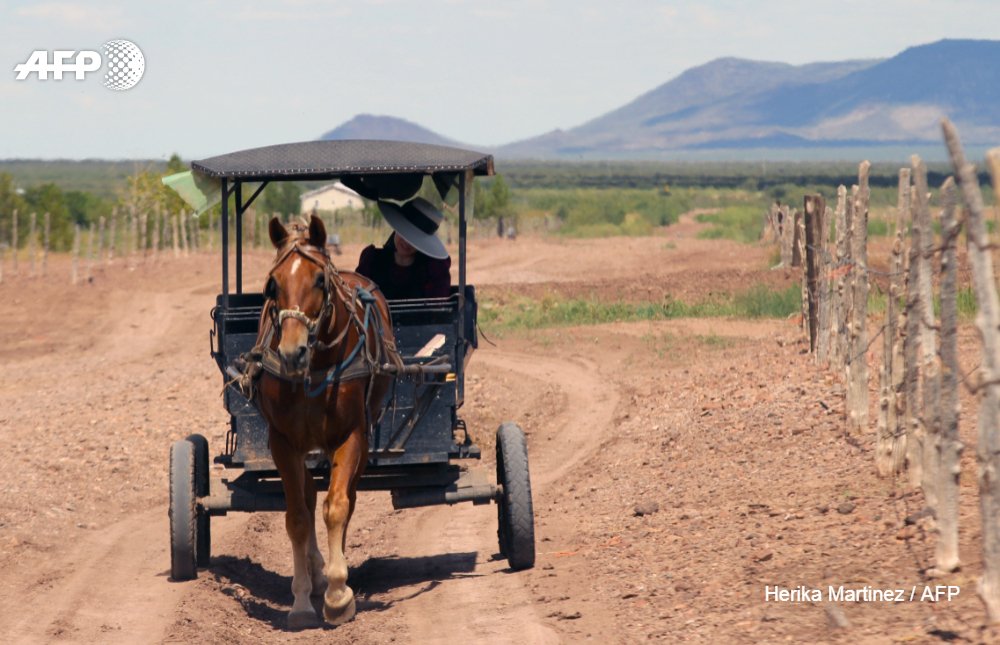 AFP's tweet photo. Mexico’s Mennonites debate moving somewhere even more remote after the government lays the first power lines to their desert home, bringing the sin of electricity https://t.co/wDKpb9yDET https://t.co/gwUjGDWbCZ