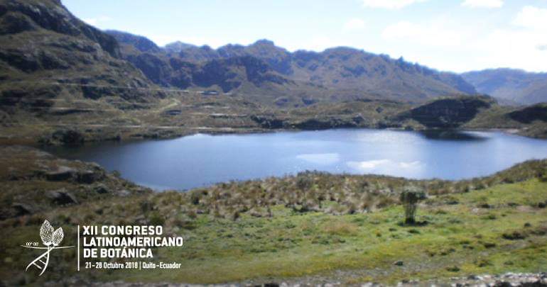 XIICLB2018's tweet photo. #ExcursionesCLB▶️🌵 ¿Ya hiciste tu equipaje? Haremos una excursión a las provincias de #Azuay y #MoronaSantiago y visitaremos los páramos, el bosque alto andino, los matorales secos y húmedos. 😍Más inf: https://t.co/P767oW6u2d https://t.co/yeAcprplak