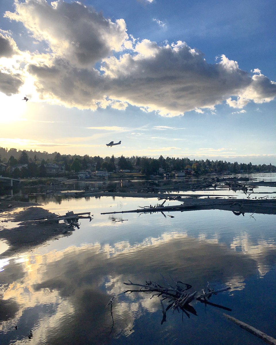 outsidetlimits's tweet photo. So many gorgeous days lately. Keep ‘em coming! #renton #washington #fall #getoutside #lakewashington #seattle #hiddentreasure https://t.co/2XSuqHVdMU