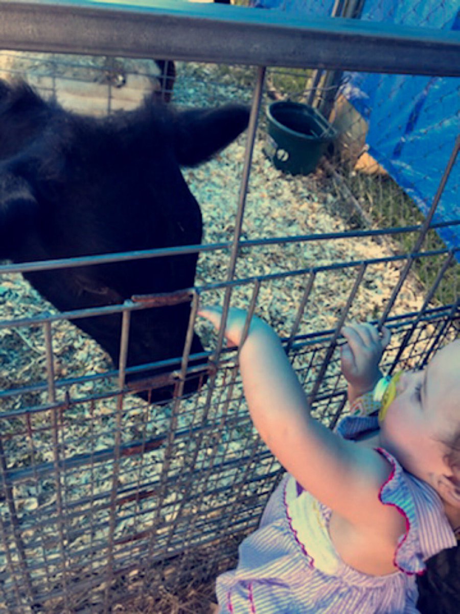 DFlowwww's tweet photo. Iβm not sure who enjoyed the petting zoo at the fair more, Me or Laiklyn. πππ‘β€οΈ #funathefair #fairfun https://t.co/c0dRu1ixXn