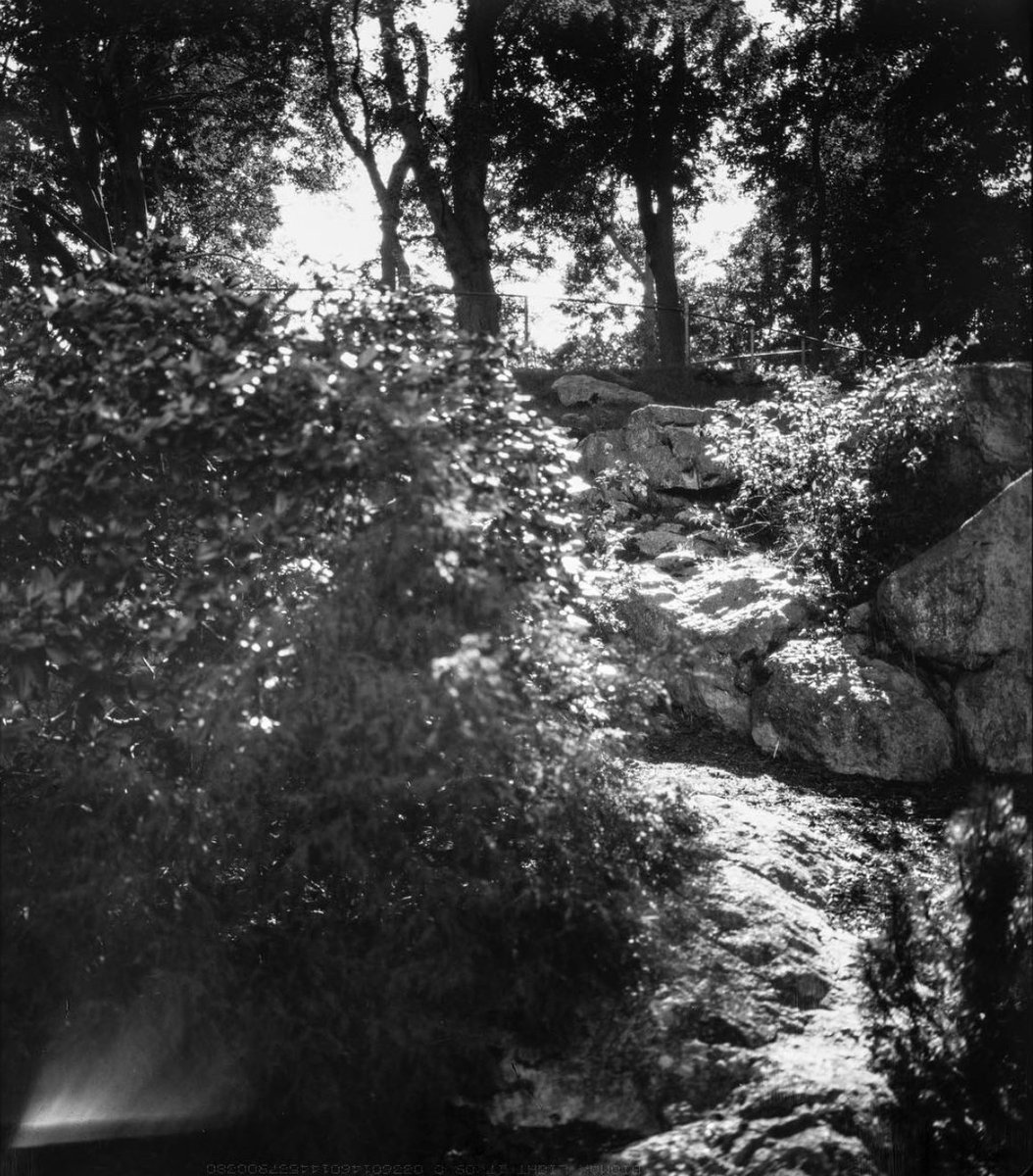 SprintSystems's tweet photo. @JoexSaunders experimenting with some interesting medical or science 8x10 film and @SprintSystems #darkroom #8x10viewcamera #filmisnotdead #blackandwhitefilm
.
.
To be featured or have student work made with #sprintsystems featured on our social media message us on any platform! https://t.co/rHoZe6LA0K