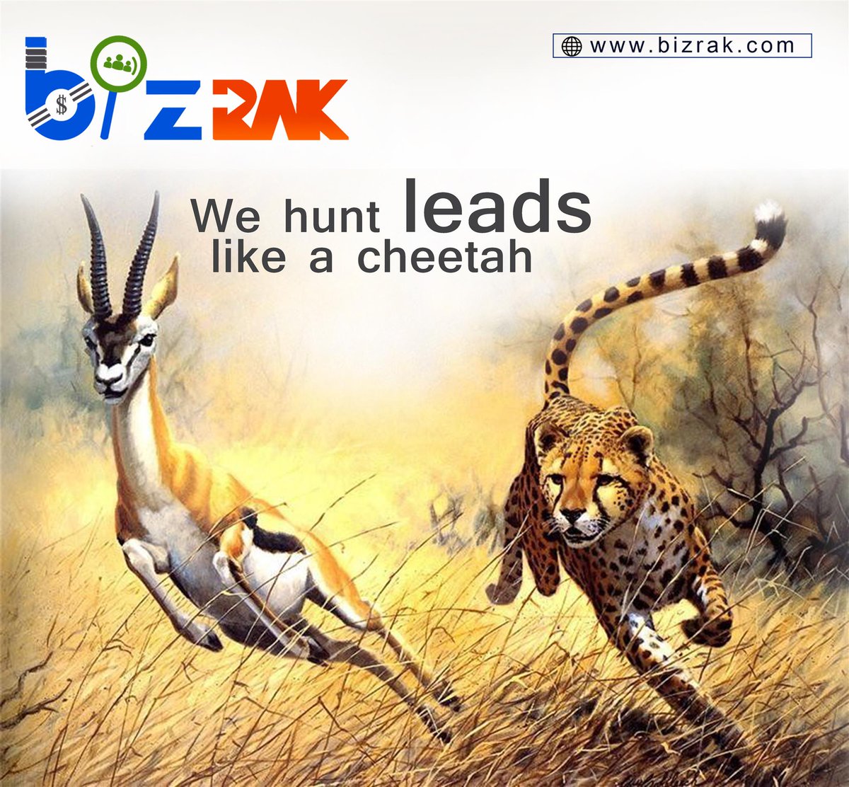 BizrakWeb's tweet image. 