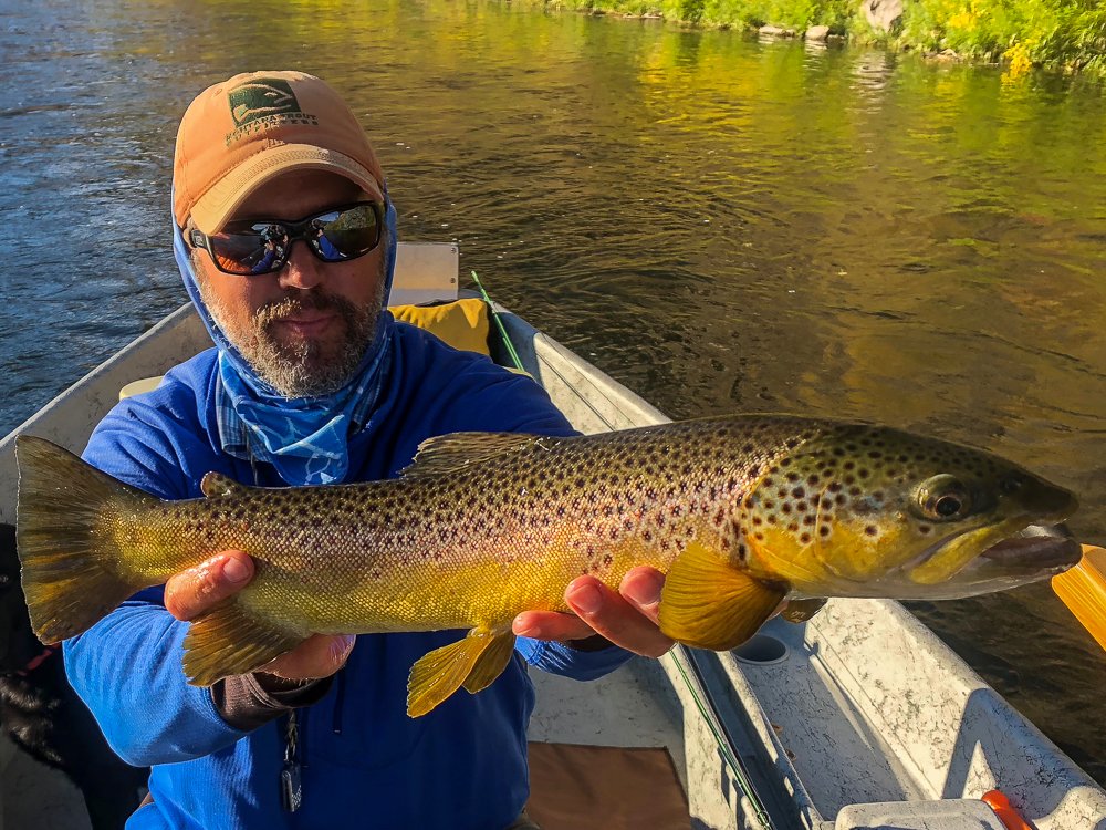 TroutOutfitters's tweet photo. Re:  Montana Fishing Report for the week of 10/14/2019 - https://t.co/8GVFoEXKUT #flyfishing #onthefly #fishingreport #montanafishingreport #flyfishingreport #flyfishingmontana #flyfishingmissoula #browntrout #troutfishing #dryfly https://t.co/TPu1liNJWk