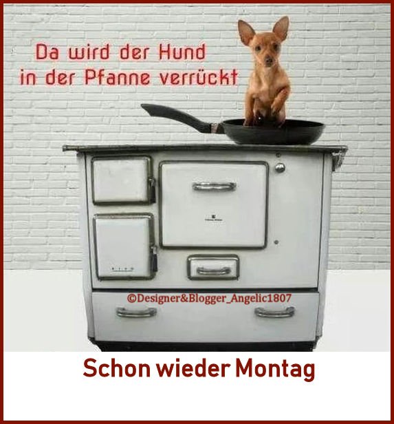 Montag guten ist morgen es wieder Guten Morgen