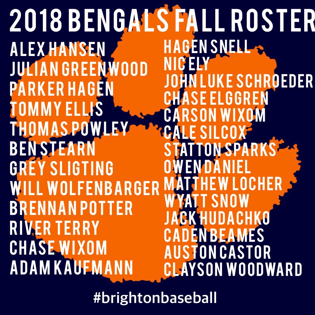 Brighton Baseball tweet media