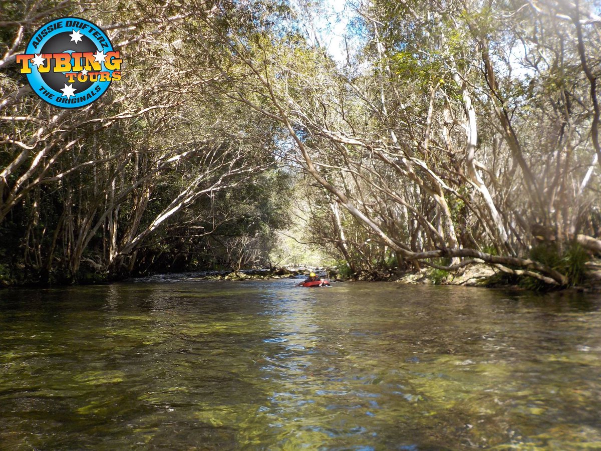 The tree tunnels down at Behana Gorge are truly spectacular! Looking for a bit of peace and quiet in the rainforest  on a half-day tour?  Aussie Drifterz River Tubing fits the bill!

#rainforest #aussiedrifterz #cairns #daytours

<a href="/CairnsGBR/">Cairns & Great Barrier Reef</a> | <a href="/Queensland/">Queensland Australia</a>