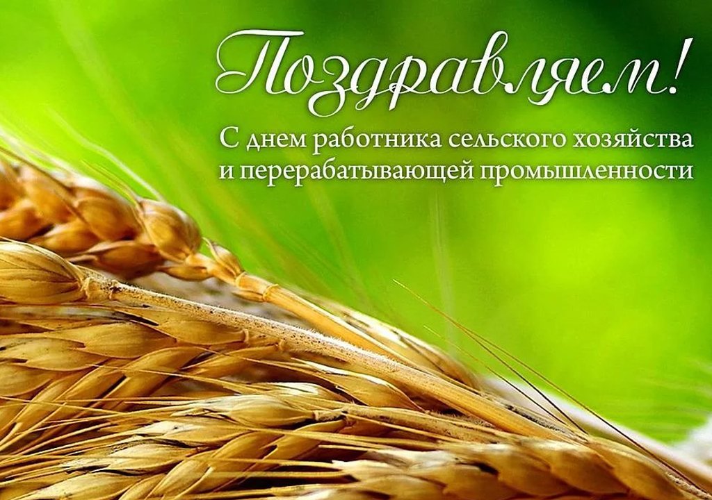 Поздравительная открытка на день села, днем