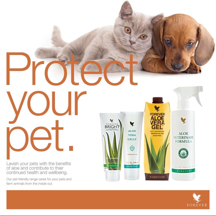 Laura60758271's tweet photo. #aloevera #protectyourpet #love #animals Shop in in Bio ✌🏻#health #teeth #skin #healthyjoints https://t.co/oSqrAuhfsS