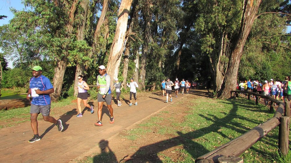 Irene Athletics Club tweet media