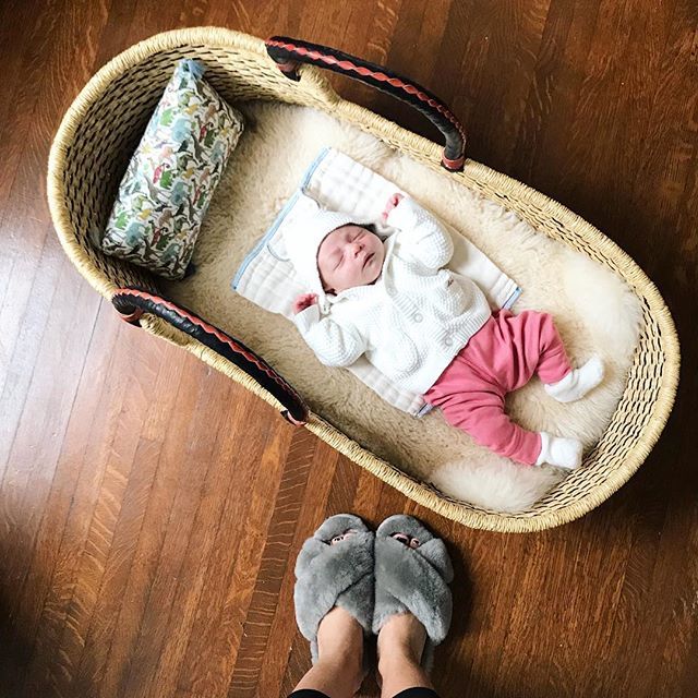 brunchpants tweet media